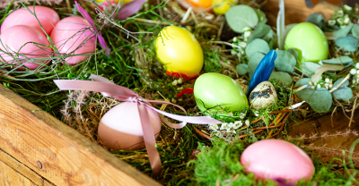 Frühlingsfest an der JGS